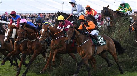 grand national 2023 betting|grand national entries 2023.